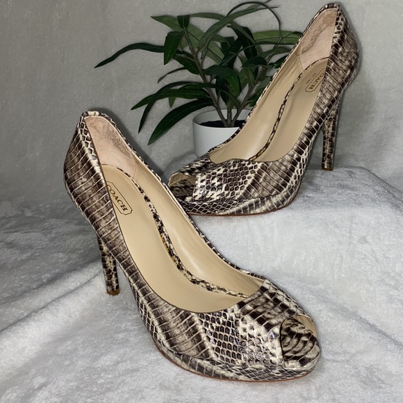 Coach Selma Python Pumps - Picture 12 of 12